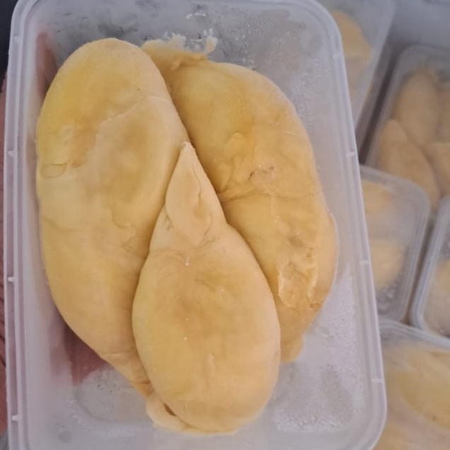 

Durian Montong Palu Durian Segar Dan Nikmat 500gr