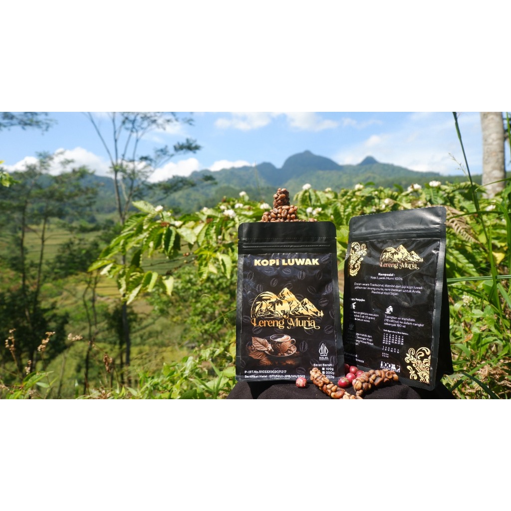 

Luwak Muria Premium Coffee
