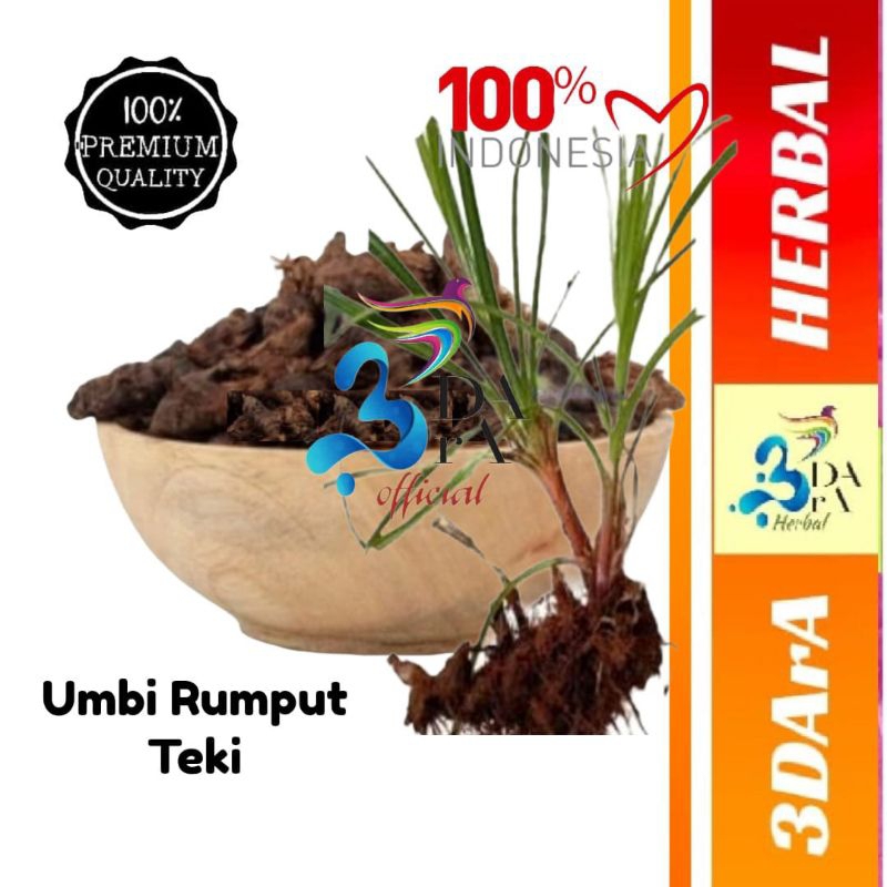 

Umbi Teki - Umbi Suket Teki Kering Premium