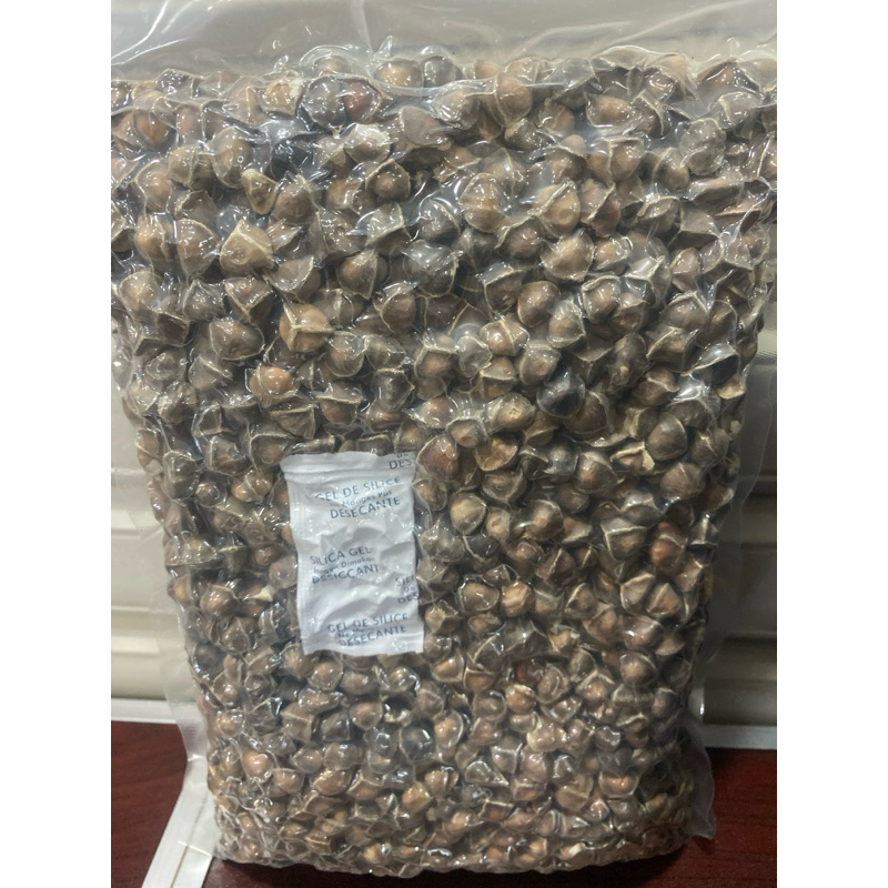 

500 gr buah biji kelor kering 100% alamin