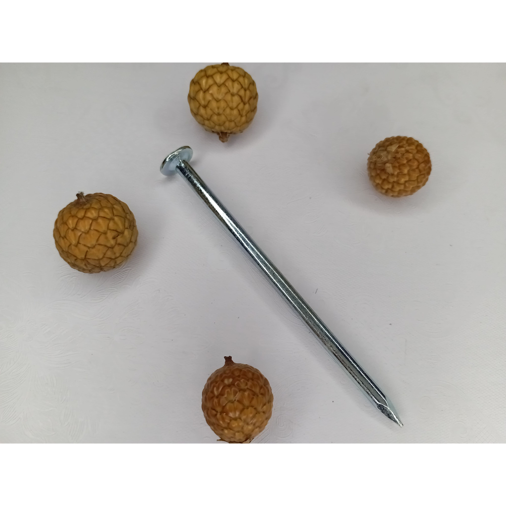 Paku Kapal Nail 2000 / Paku Kapal 4” ( Per KG )