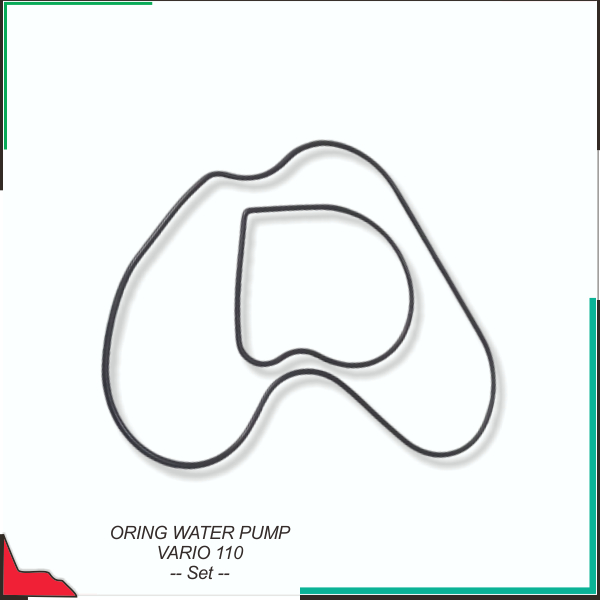 Oring Water Pump Vario 110  -- Set --