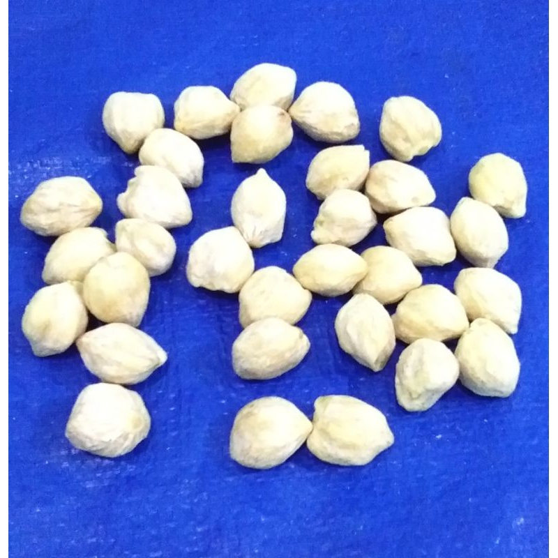

Kemiri Bulat 1 kg