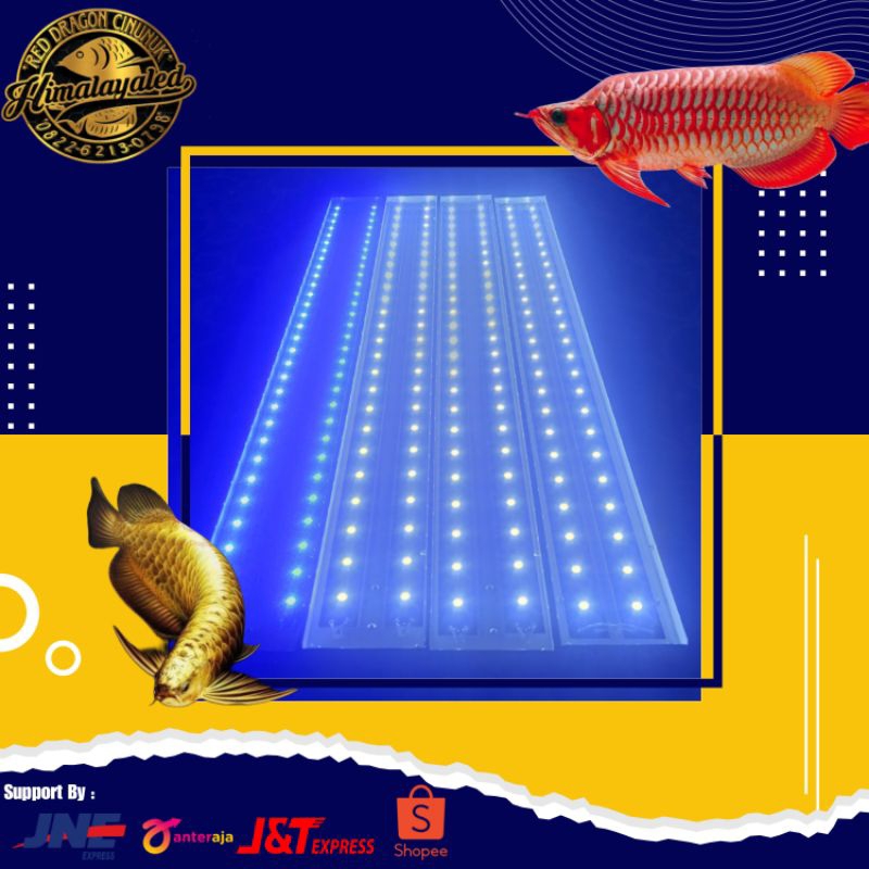 Lampu Tanning HPL 100cm 2 baris 48 titik biru