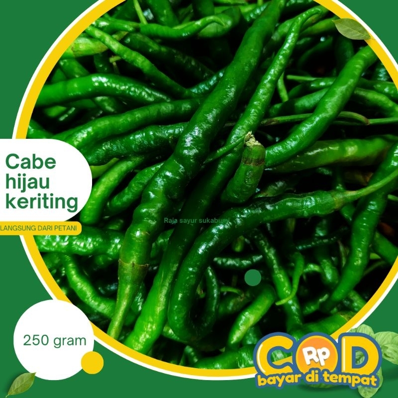 

cabe hijau keriting 100gr
