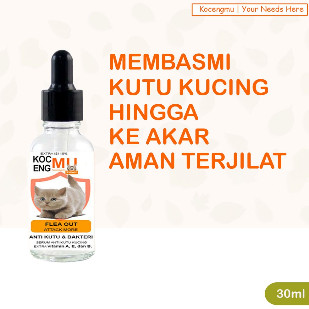 Tetes Kutu Kucing Obat Tetes Kutu Kucing Bulu Obat Kutu Kucing Ampuh  Kocengmu serum