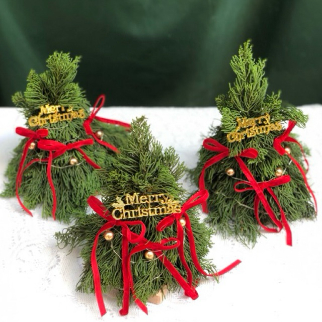 

FRESH CEMARA CHRISTMAS TREE MINI POHON NATAL HIASAN