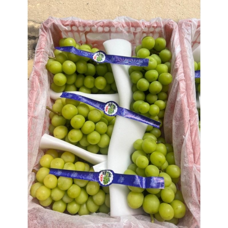 

Muscat hijau manis segar