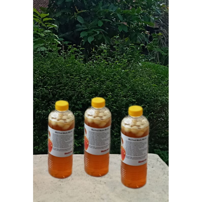 

madu bawang lanang ## perpaduan antara madu & bawang lanang/bawang putih tunggal __ netto 625gr