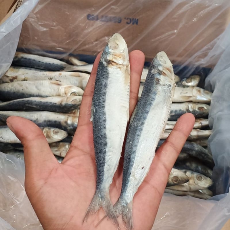 

aneka ikan asin 50 gr