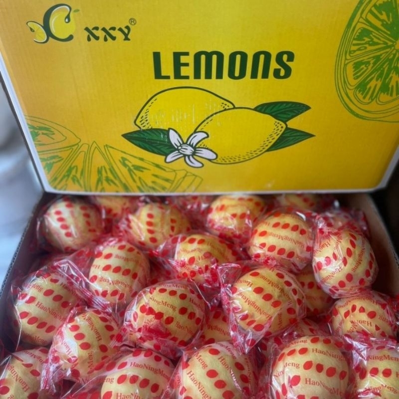 

jeruk lemon impor 250gr