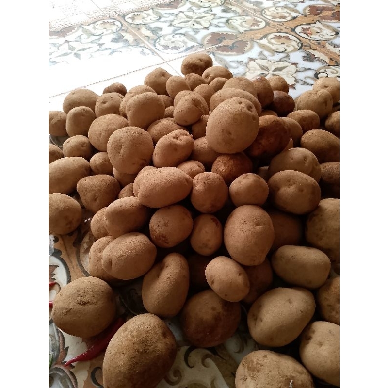 

kentang diyeng