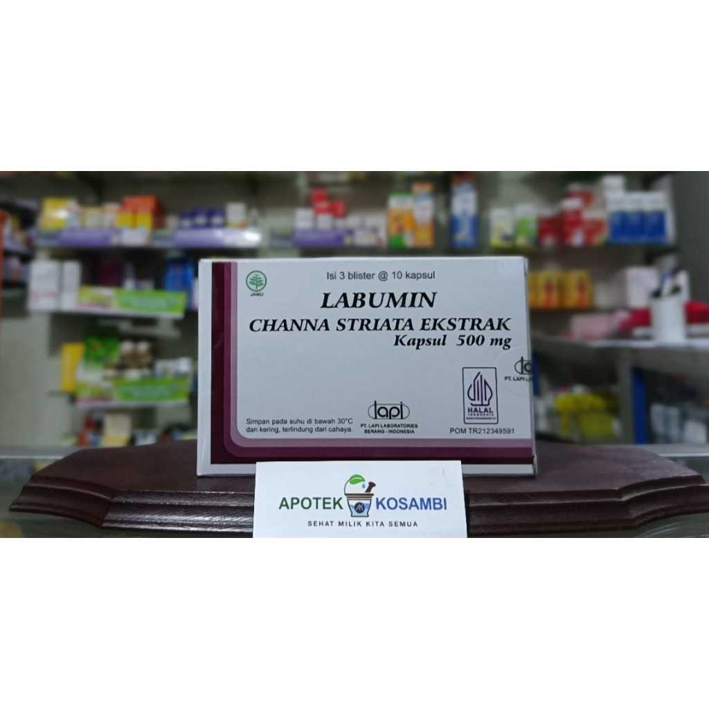 LABUMIN 10 KAPSUL
