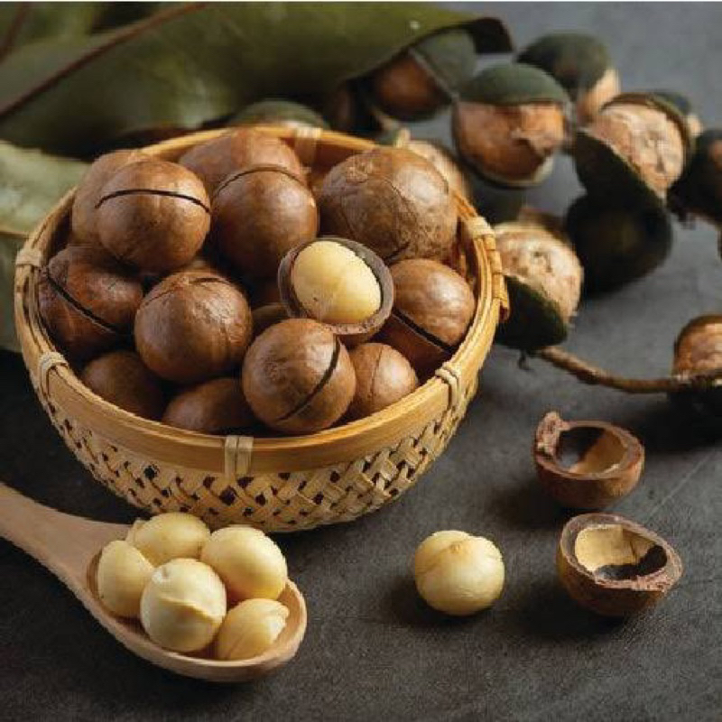 

KACANG HAZELNUT PREMIUM