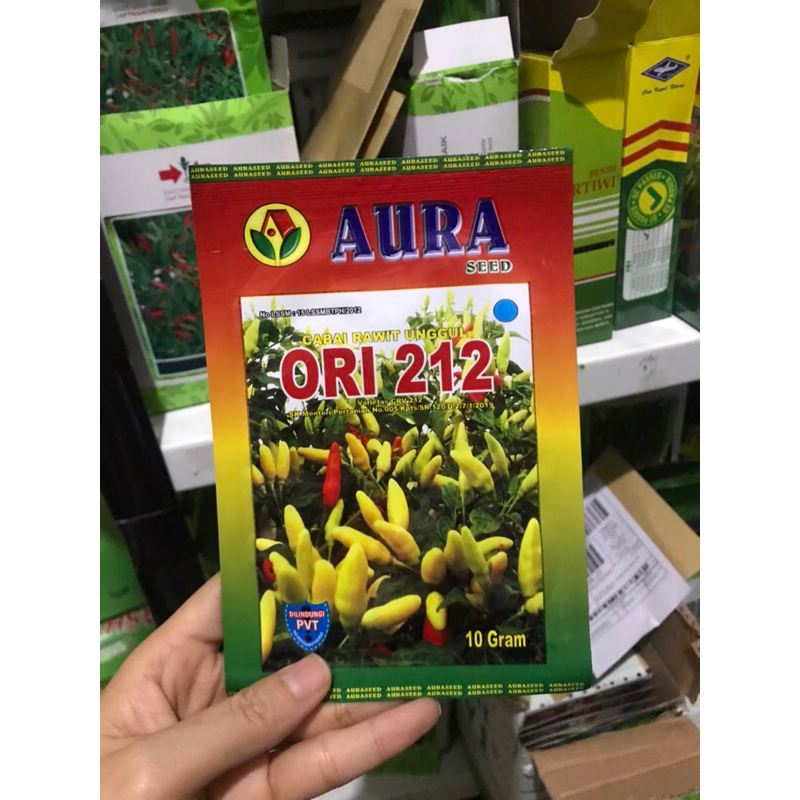 Benih cabe rawit ORI 212 10 gram cabai rawet putih ORI212 dari aura seed