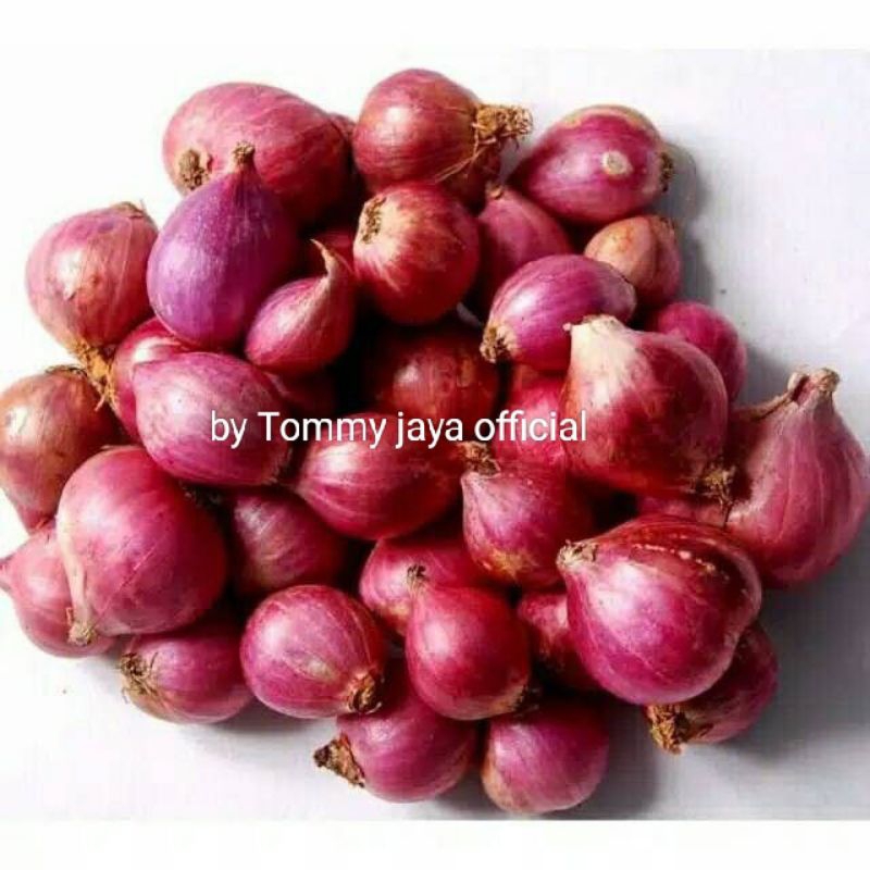 

BM SUPER Terlaris Bawang Merah SUPER Asli Brebes 500g /terlaris/menosmenos/Ukuran SUPER