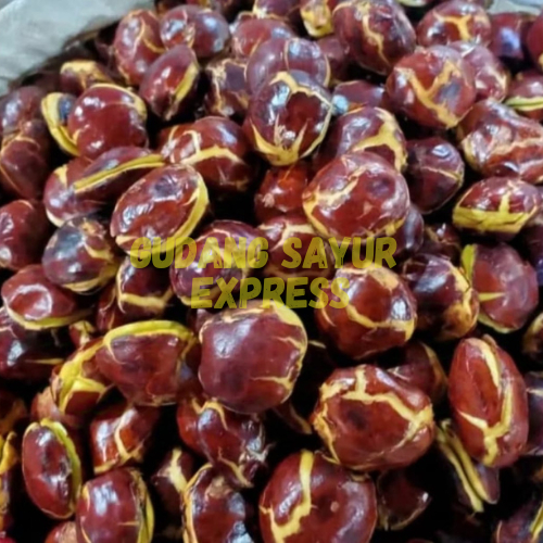 

JENGKOL TUA MENTAH SUPER 1KG 12.12