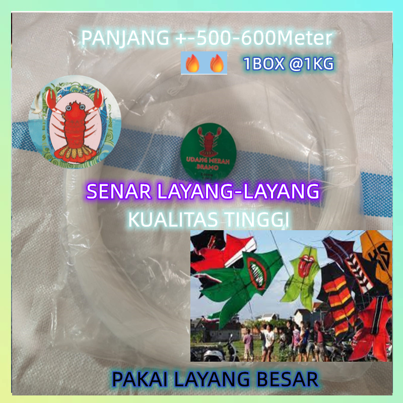Senar Layang/ Senar Pancing Kiloan / Senar Layangan Berbagai Ukuran 0,5MM-1,4MM MURAH GROSIR /1 kg