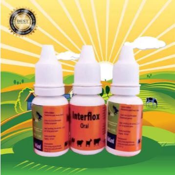 Interflox Oral - Obat Flu Kucing Obat Pilek Kucing Obat Flu Kelinci