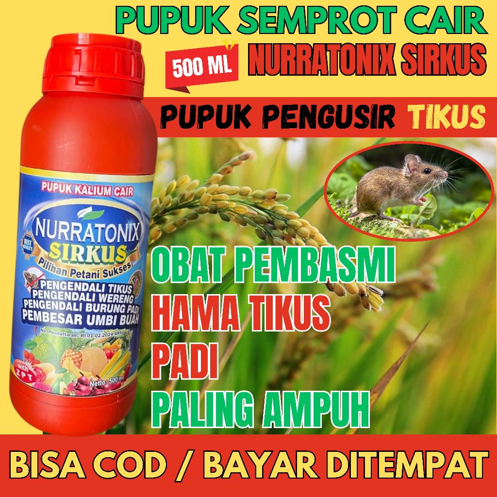 Pengendali Tikus Dan Pengendali Burung Piit Pada Tanaman Padi - Pupuk Cair Racun Tikus Dan Burung