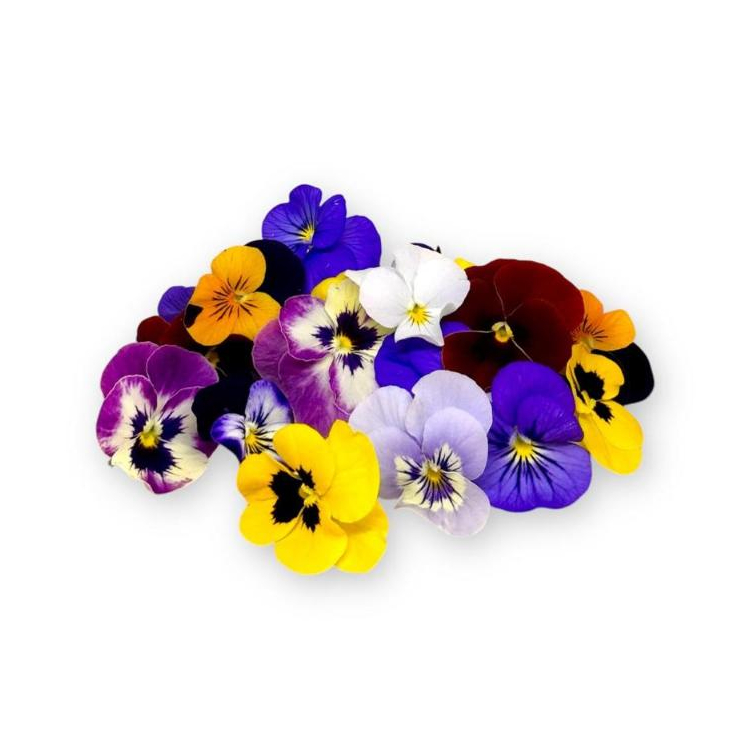 

EDIBLE FLOWER MIX Viola 30 pcs – Fresh Edible Flower – Bunga dapat dimakan - Kropnation