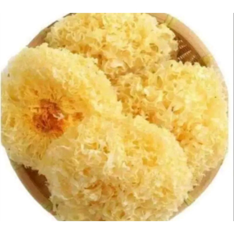 

Jamur Putih / Jamur Salju / Snow White Fungus 500gr
