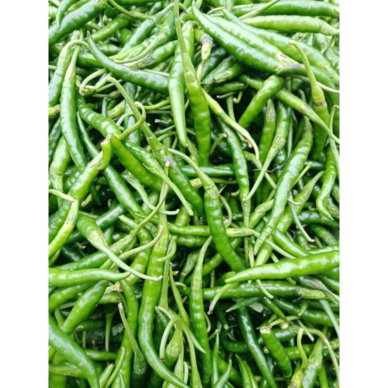 

CABAI HIJAU KERITING SUPER 1KG