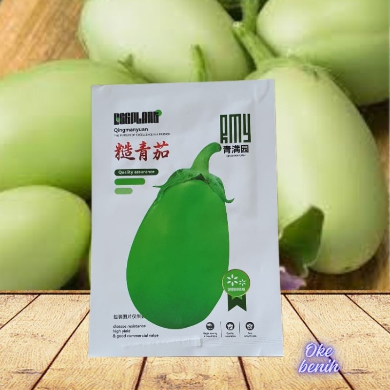 2 GRAM BIJI/BENIH TERONG PONDOH BESAR HIJAU