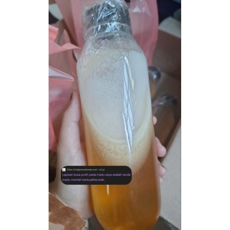 

Madu Asli Lebah Hutan Kalimantan