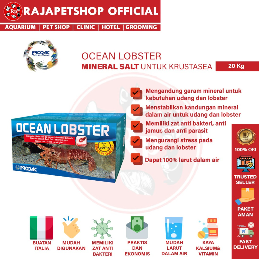 PRODAC SALT OCEAN LOBSTER 20 KG GARAM LAUT LOBSTER UDANG PREMIUM