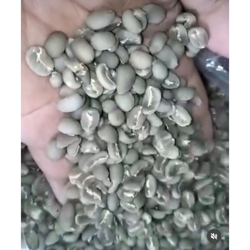 

Kopi Arabika Gayo Aceh, Green Bean, Proses Semiwash 1000gr
