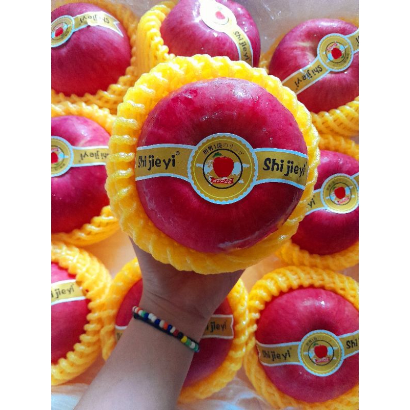 

Apel jepang Sekaichi Jumbo Premium,Manis cruncyy,fresh selalalu,super jumbo