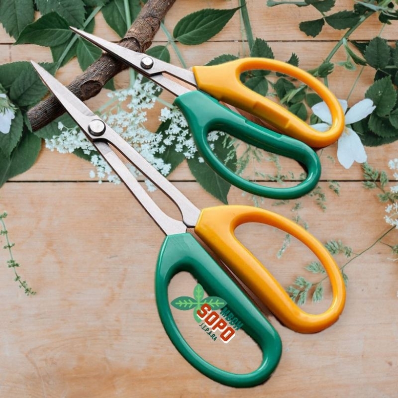 Alat Bonsai, Sepasang Gunting Pruning China, Hijau Kuning