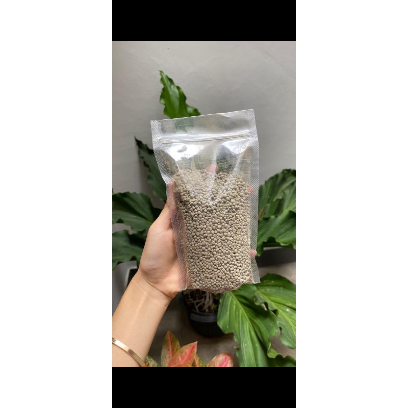 Pupuk CSP 36 Repack 1000gr
