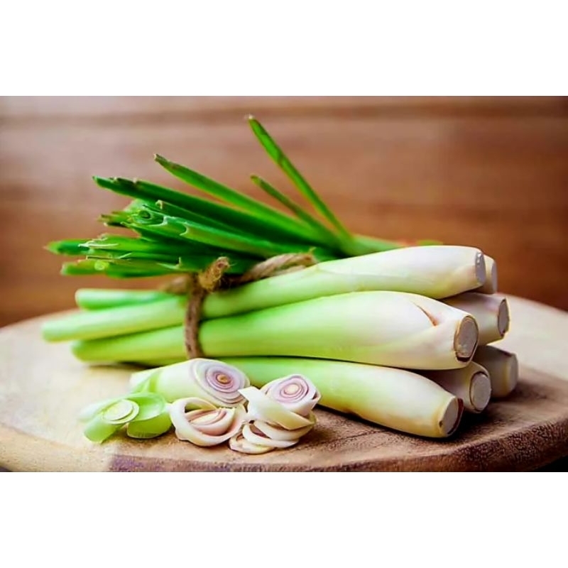 

Serai dapur sereh serai bumbu dapur rempah-rempah