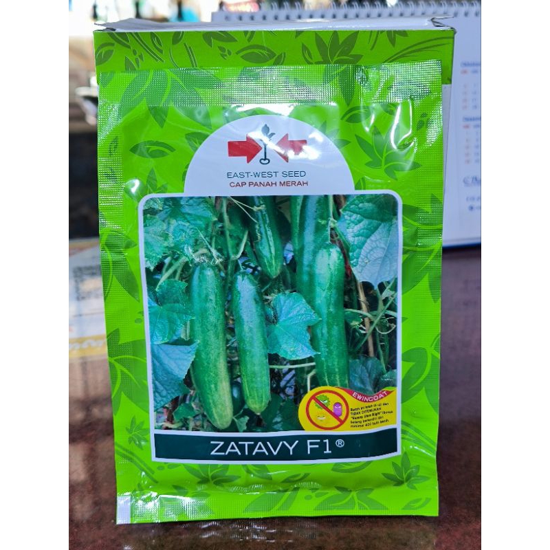 benih bibit timun Zatavy F1
