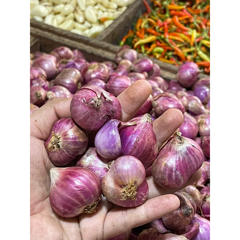 

bawang merah super bawang merah kering bawang merah besar bawang merah 1kg