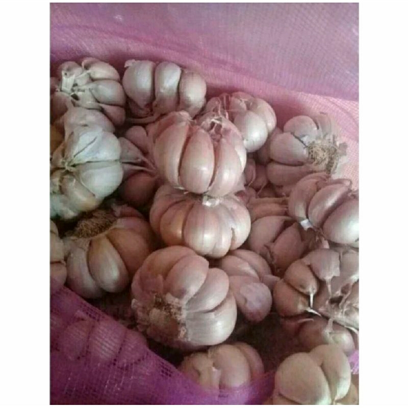 

BAWANG PUTIH SUPER 250GRAM FRESH