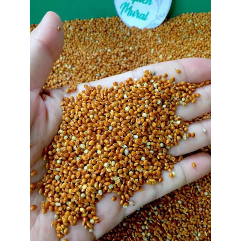 PAKAN BURUNG LOVE BIRD PERKUTUT PARKIT PARUH BENGKOK MILET MERAH CURAH REPACK 1KG