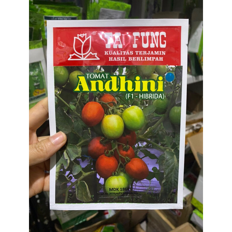 Benih Tomat Andhini F1 5gr (1.600 Biji) Dataran Rendah - Menengah Bibit Tomat Ta Fung Benih Tomat Ta