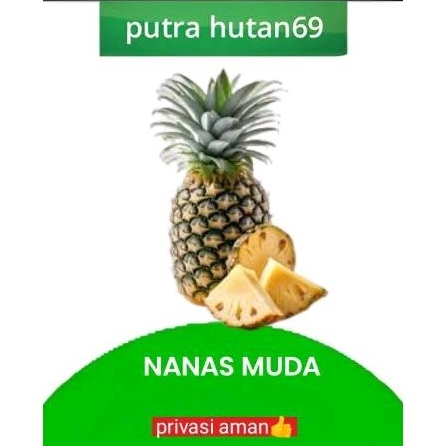 

NANAS MUDA ASLI MUDA 100 % MUDA LANGSUNG PETIK LANGSUNG KIRIM