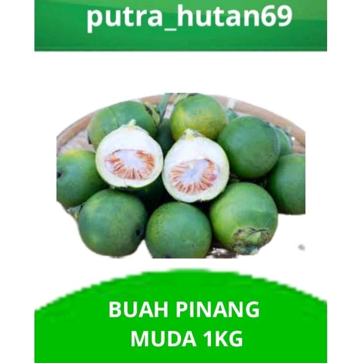 

STAMINA PRIA HERBAL BUAH PINANG MUDA 1kg