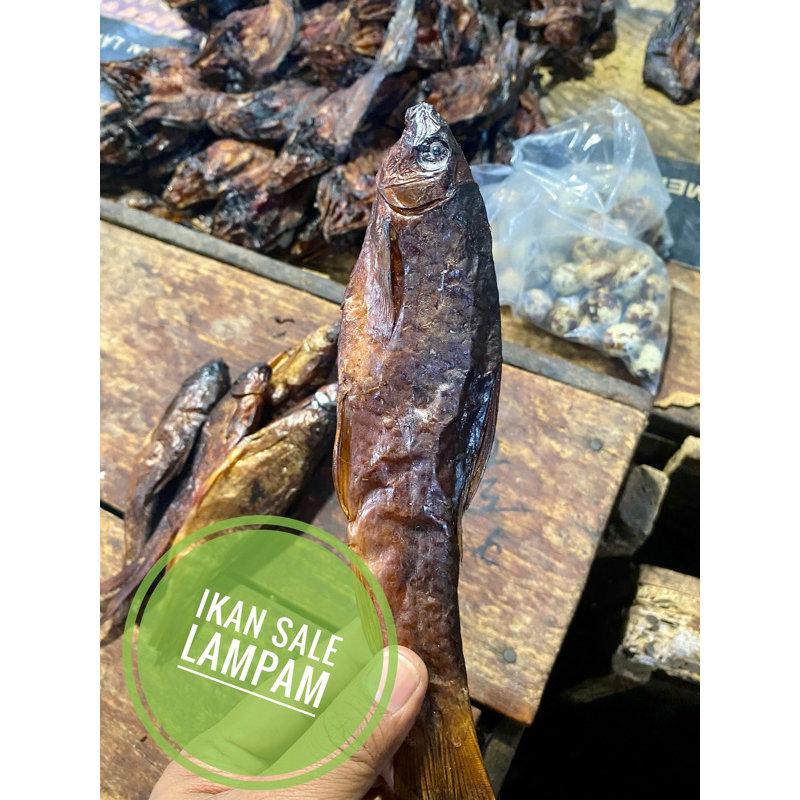 

Ikan Lampam Sale/Asap