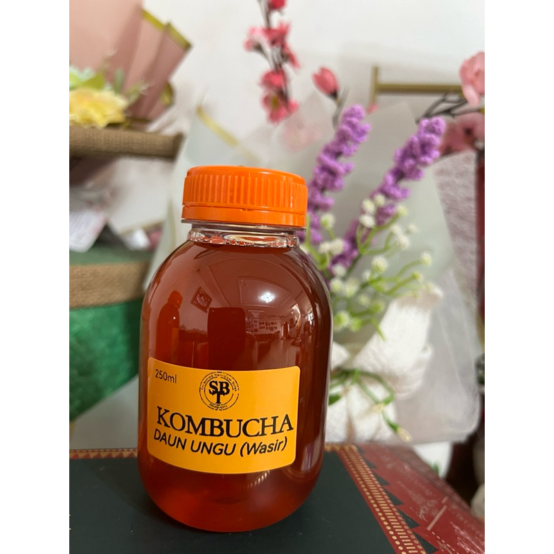 

KOMBUCHA DAUN UNGU (Handeuleum) 250ml, meredakan gejala Wasir/Ambeian