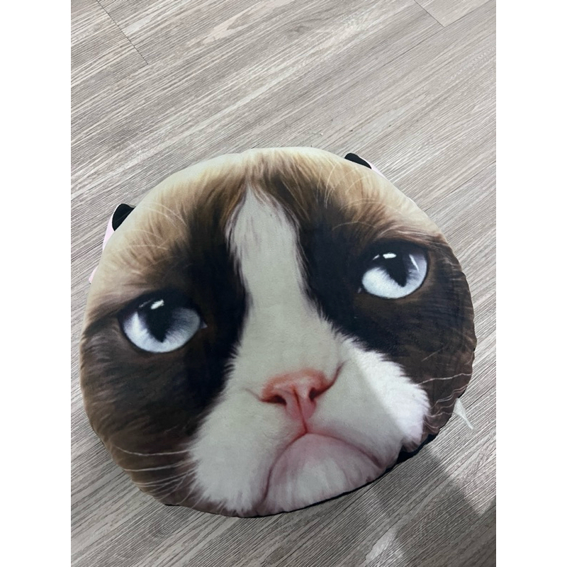 preloved bantal kucing