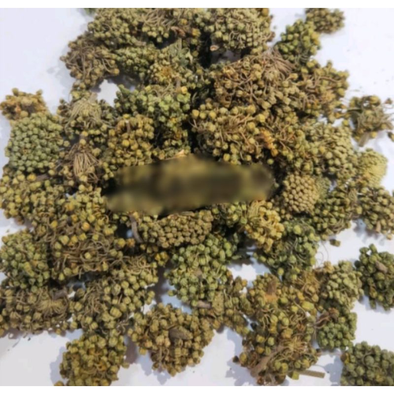 

8 Terjual Tienchi Hua / Bunga Tienchi / Tienchi Ginseng - Untuk Melancarkan Sirkulasi Darah