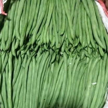 

ABBA - sayur buncis 100 gr 250 gr 500 gr