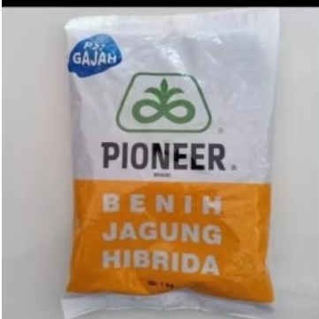 

BENIH JAGUNG PIONEER P27 EXTRA GAJAH KEMASAN 1KG