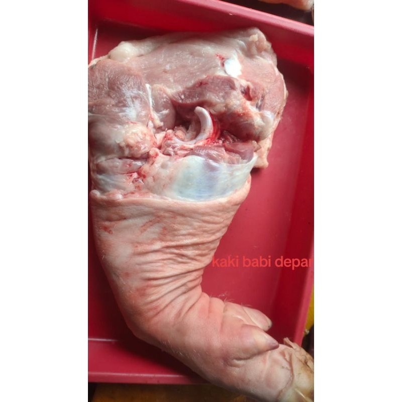 

Daging Babi kaki depan utuh berat per 1 kg