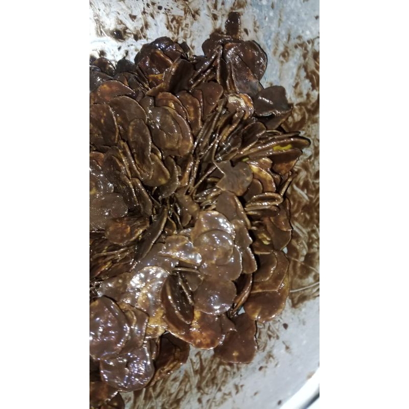 

kripik pisang coklat lumer isi 100gr